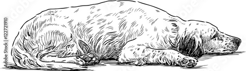 sad spaniel lays