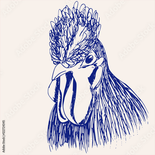 Cock portrait hand drawn sketch by pen vector 