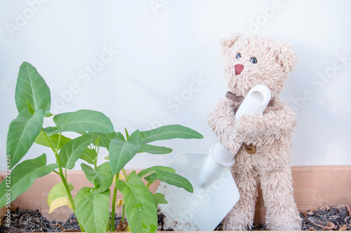 Obraz na plátně Teddy bear gardening