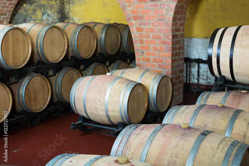 View on winery cellar with wine woods.