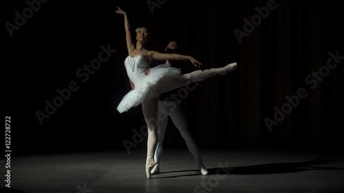 Ballet Dancers Posing On Stage