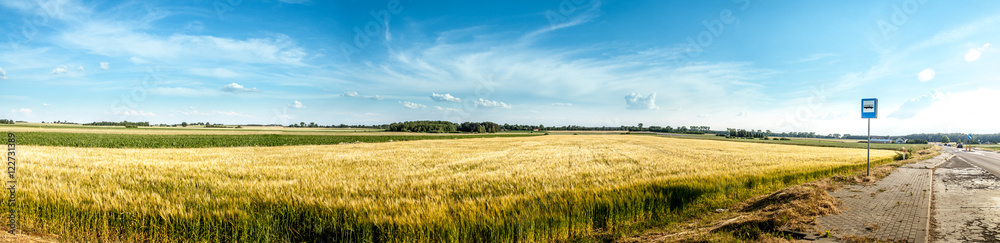 Field panorama