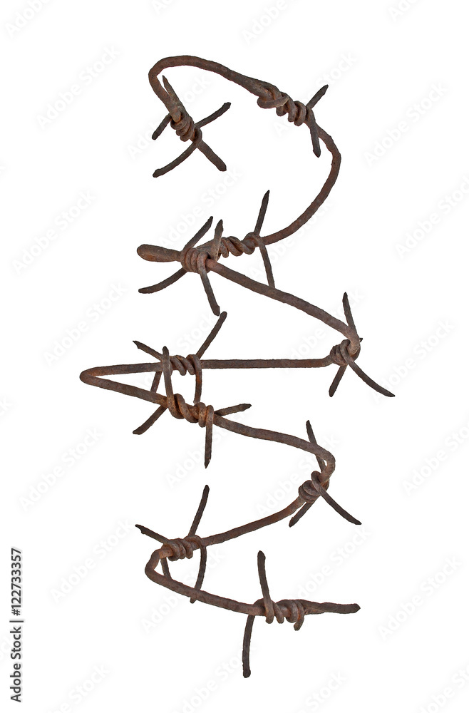 Fototapeta premium Rusty barbed wire on white background