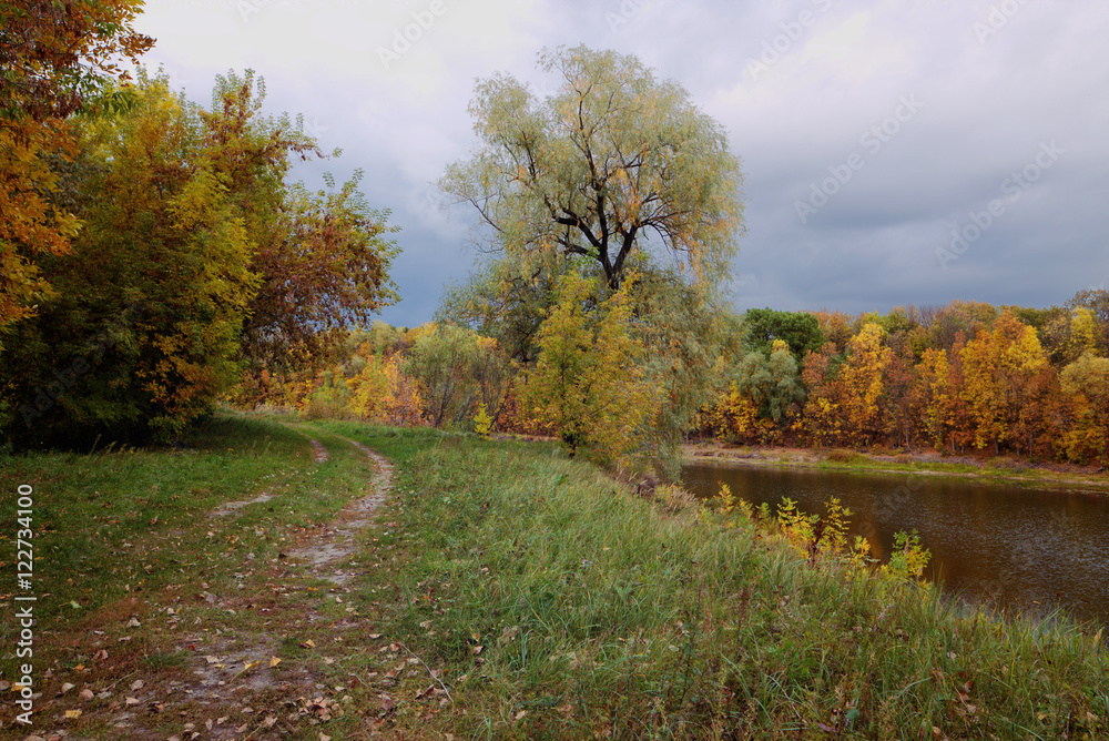 Fototapeta premium Beautiful afternoon in the autumnal park
