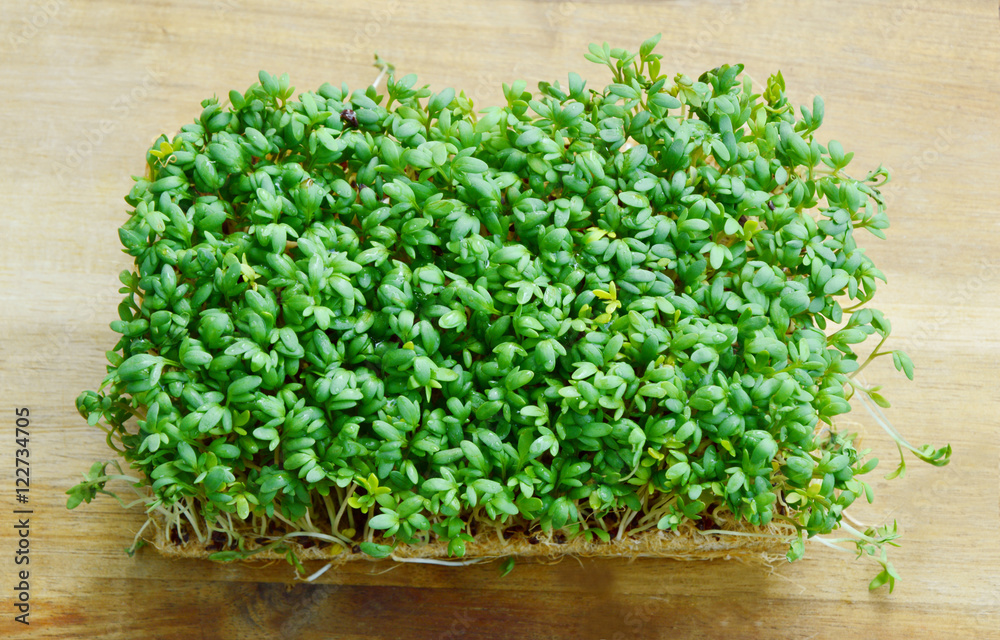 Garden Cress: Health Benefits and Nutritional Value