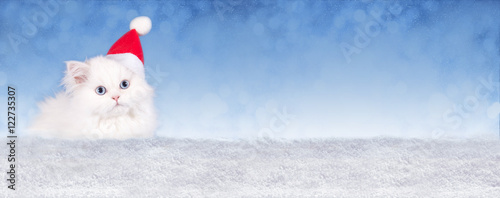 Süße weiße Katze mit Nikolausmütze, Banner mit Schnee und Himmel © grafikplusfoto