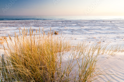 Fototapeta Naklejka Na Ścianę i Meble -  beautiful view of the coastal dunes