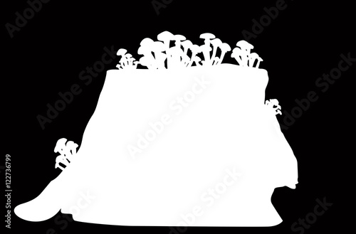 mushrooms and stub silhouettes isolated on black