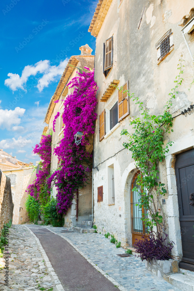 beautiful old town narrow street with leaves and flowers of Provence at summer day, France, retro toned