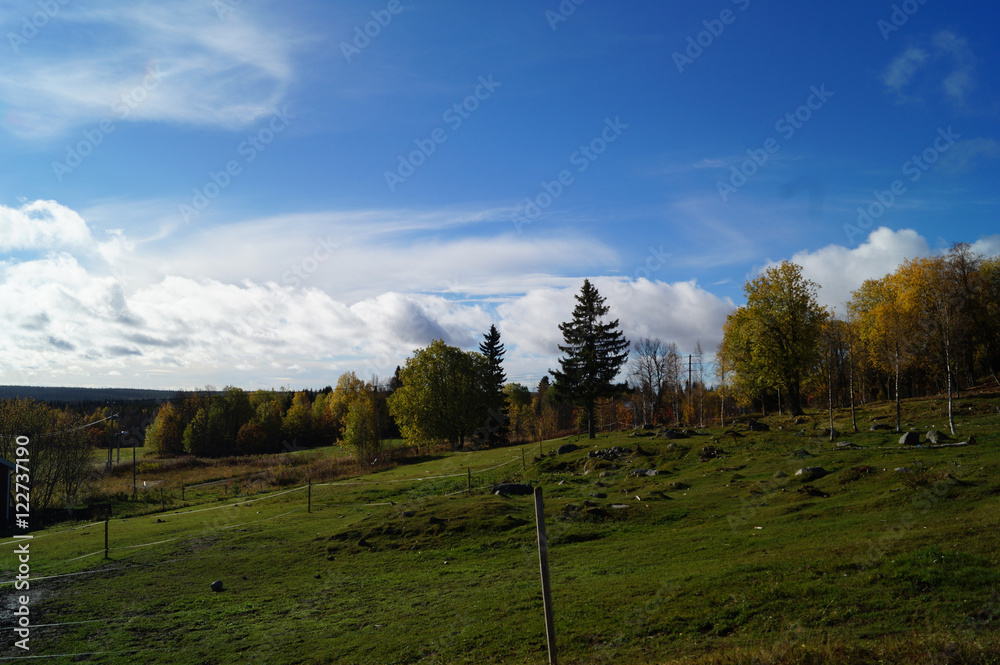 Landscape north in sweden