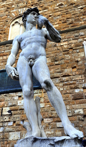 Quadro su tela Florenz - Marmorskulptur David von Michelangelo