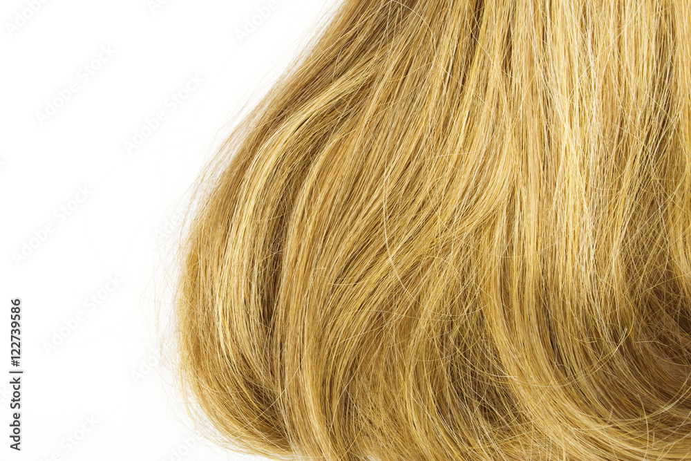 Hair on a white background