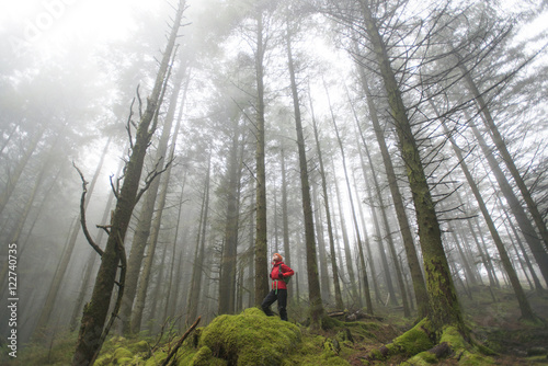 Walking in Beddgelert forest in Snowdonia, Wales photo