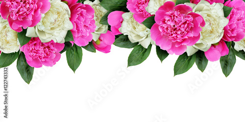 Pink and white peonies flowers header