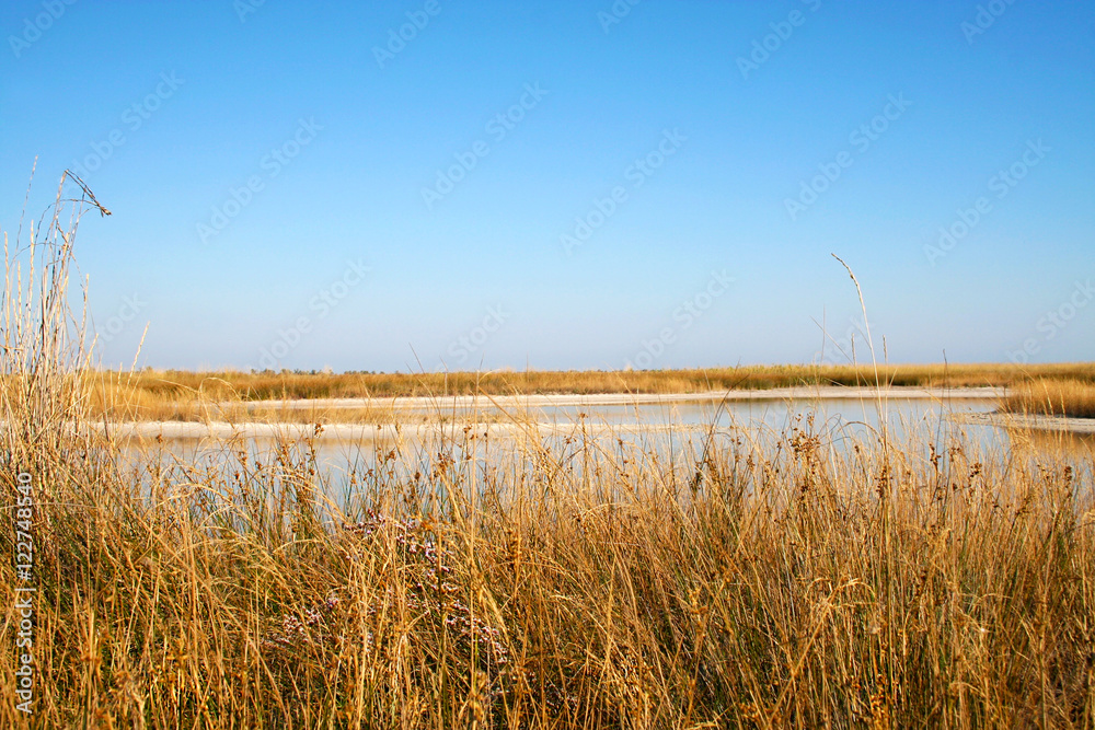 Fototapeta premium The landscape of the sea coast