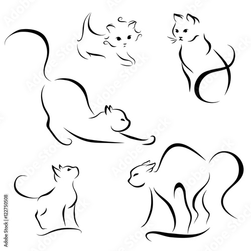 cat abstract lines on a white background vector © lavrentyeva