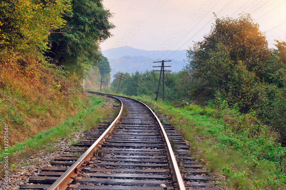 Fototapeta premium Railway track in a beautiful autumn forest fog. dampness, bright warm autumn colors