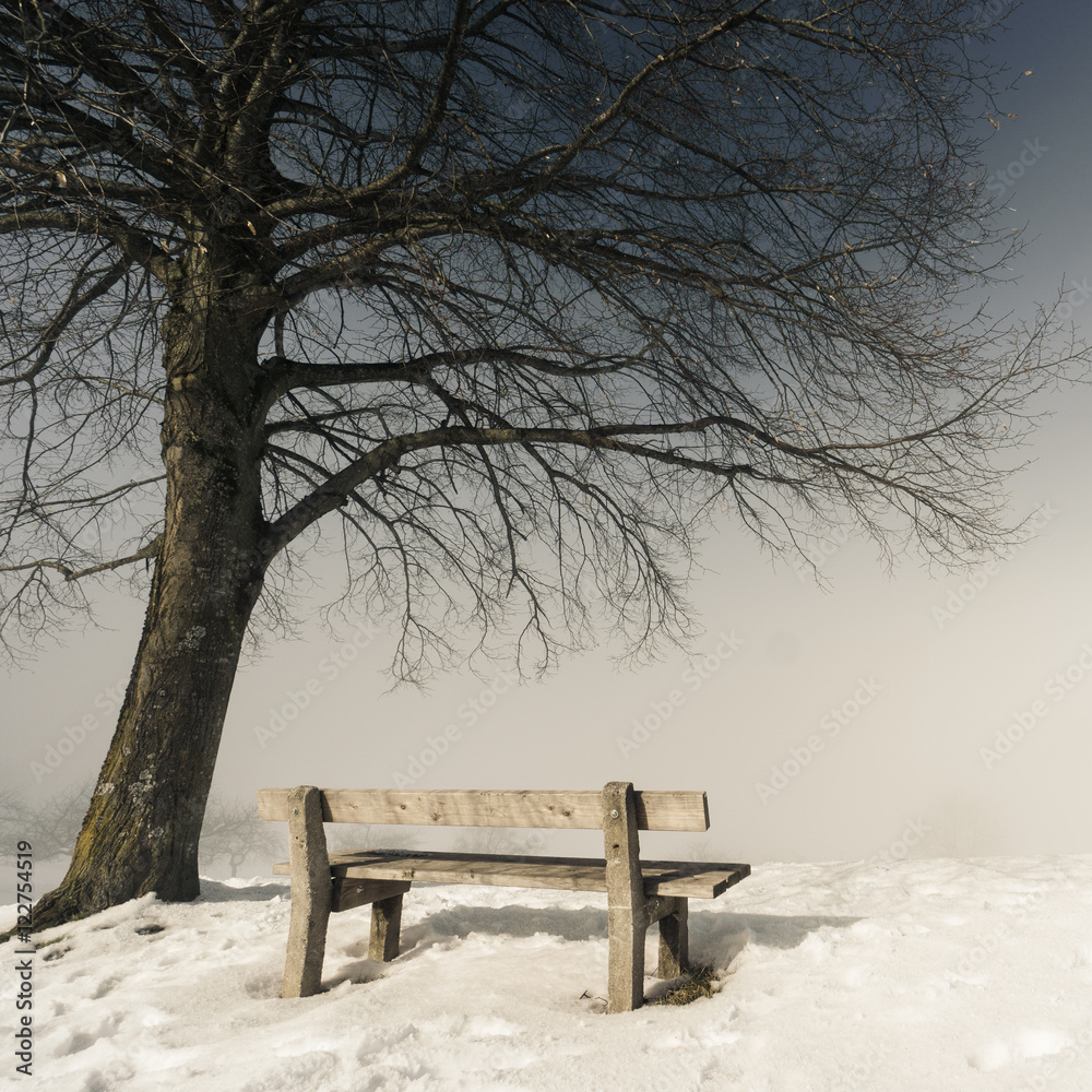 bench, foggy winter day (151)