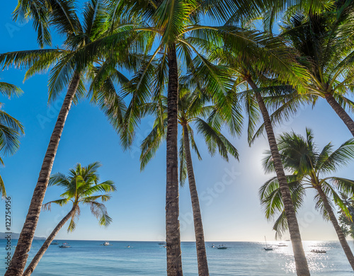 Tropical beach background from Boracay island with coconut palms