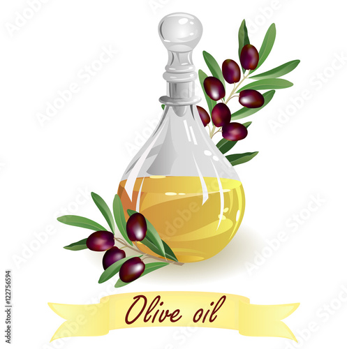 Olive oil. Hand drawn vector illustration of glass jug with oil and branch with black olives on white background.