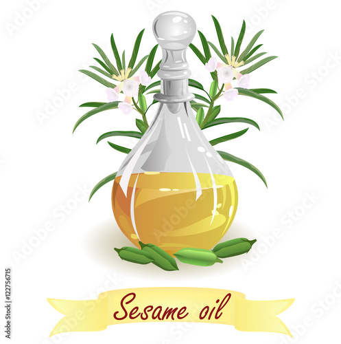 Sesame oil. Hand drawn vector illustration of glass jug with oil and sesame sprouts on white background.