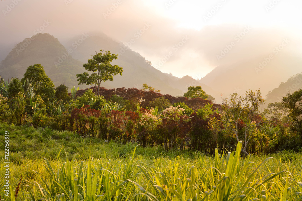 Fototapeta premium Foggy landscapes surrounding the small village of coffee growers in the highlands of Honduras. Santa Barbara National Park