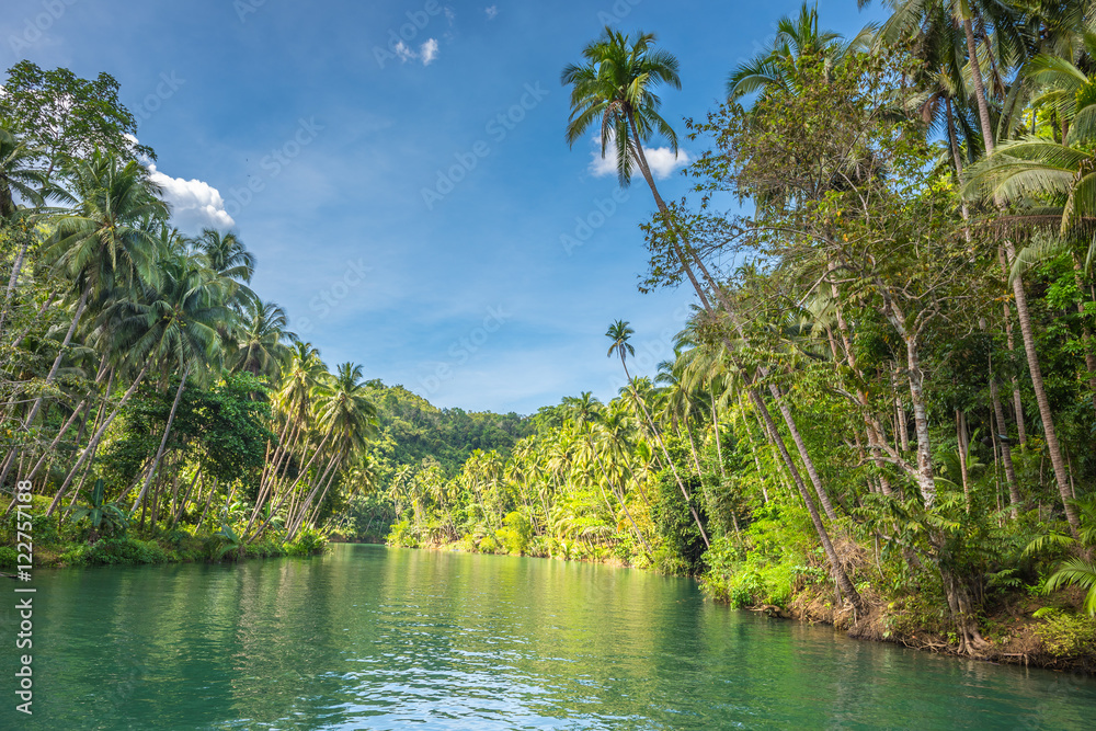 Φωτογραφία View of jungle green river Loboc at Bohol island of Philippines
