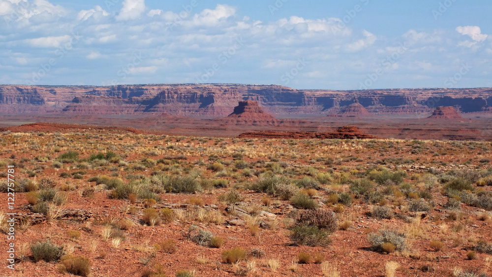 Landscape in Southwestern Colorado, USA