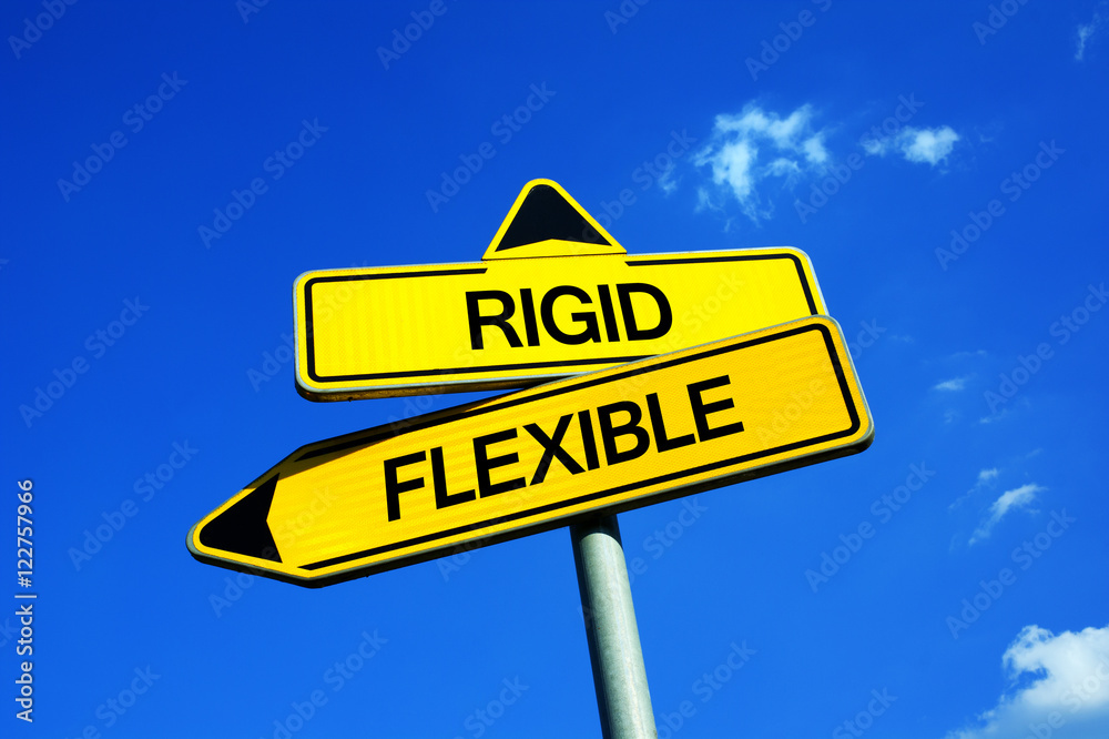 Rigid or Flexible - Traffic sign with two options - be adaptable to new circumstances and condition or stay fixed and solid without change. Risk of stagnation and inflexibility Rigid or Flexible - Traffic sign with two options - be adaptable to new circumstances and condition or stay fixed and solid without change. Risk of stagnation and inflexibility