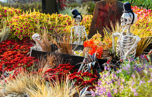 Canvas Print SEOUL, SOUTH KOREA - OCTOBER 25: Halloween party decorations at