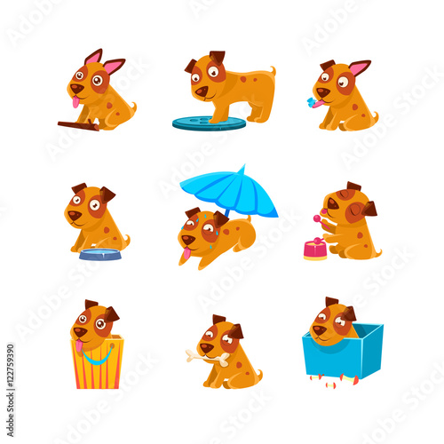 Puppy Everyday Activities Collection