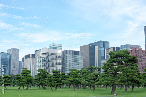 Tokyo Marunouchi Office District © Wiennat M