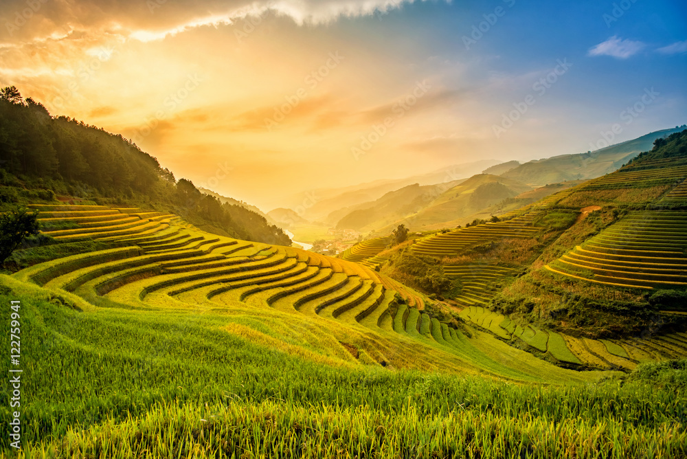 Beautiful Sunset on terraced rice field in harvest season in Mu - obrazy, fototapety, plakaty 