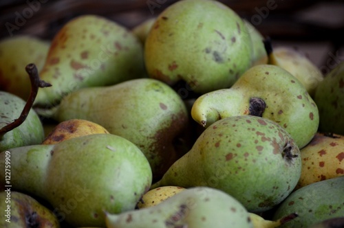 Freash organic pears  photo