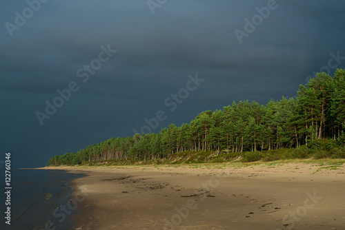 Baltic sea beach with pine forest on shore
