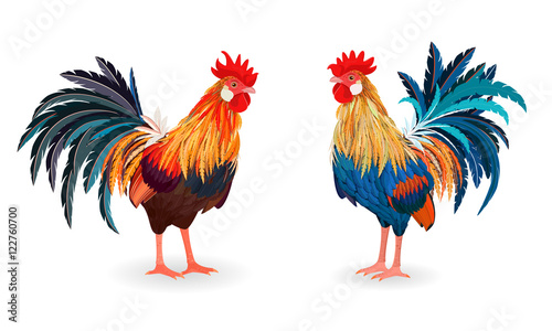 Fotografia collection of detailed lovely roosters for your design