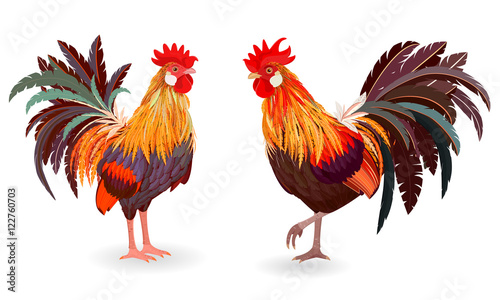 collection of detailed cute roosters for your design