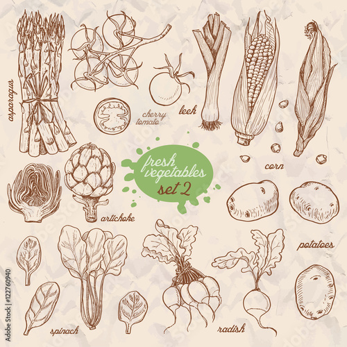 Set of isolated vegetables in a sketch style. Asparagus, cherry tomatoes, corn, potatoes, radish, artichoke, spinach, leek