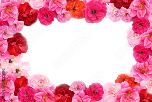 pink and red roses border isolated on white background