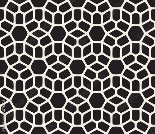 Vector Seamless Black and White Rounded Lace Pattern © Samolevsky