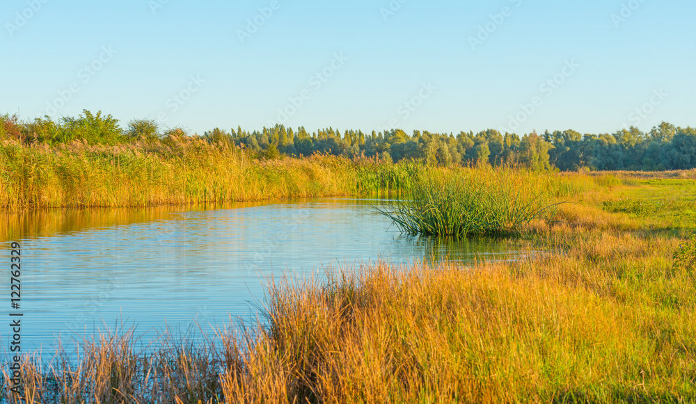 Shore of a lake at sunrise in autumn Shore of a lake at sunrise in autumn