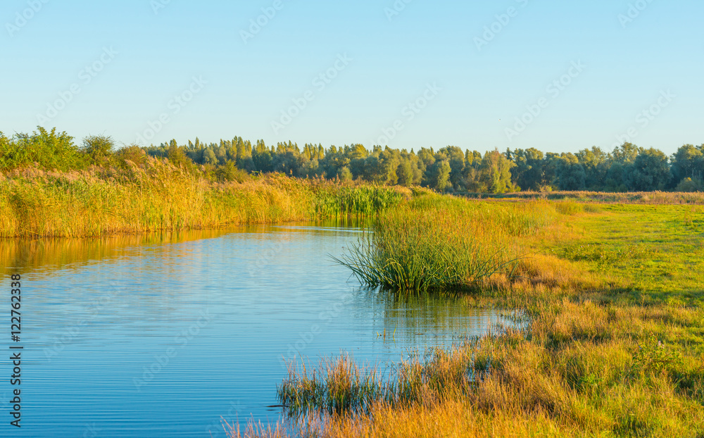 Shore of a lake at sunrise in autumn