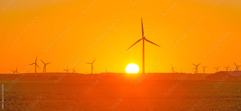Wind turbines in a field in at sunrise