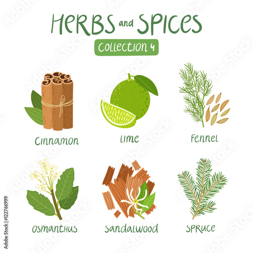 Herbs and spices collection 4