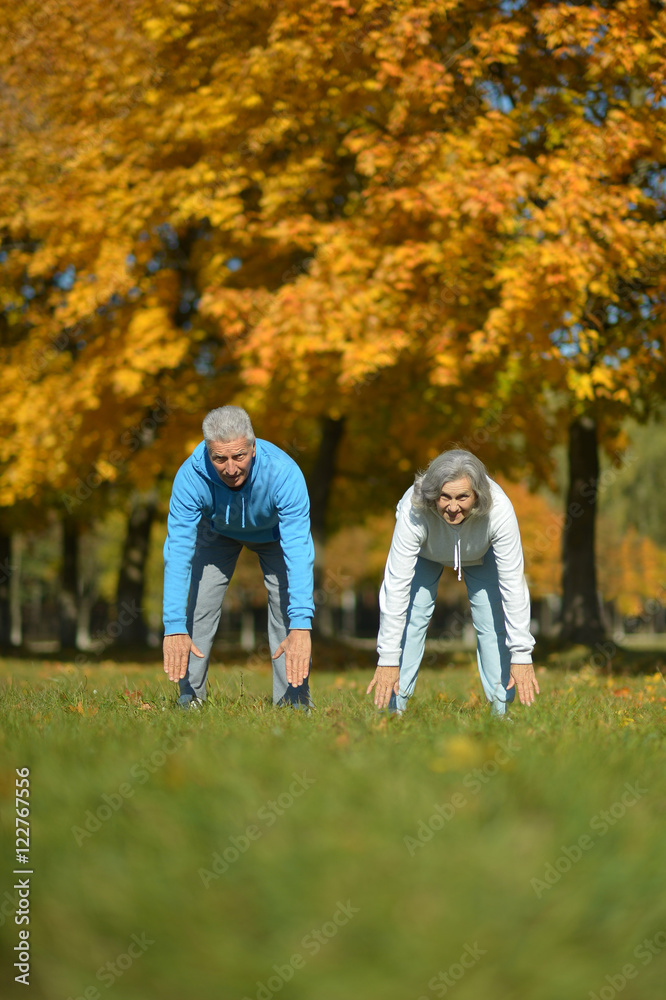 fit senior couple exercising