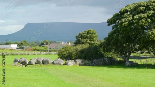 Gtreen pasture and a big tree in Carrowmore seen the beautiful landscape under the blue sky photo