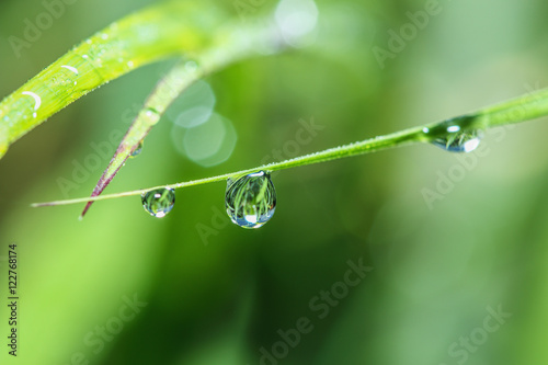 Dew drops