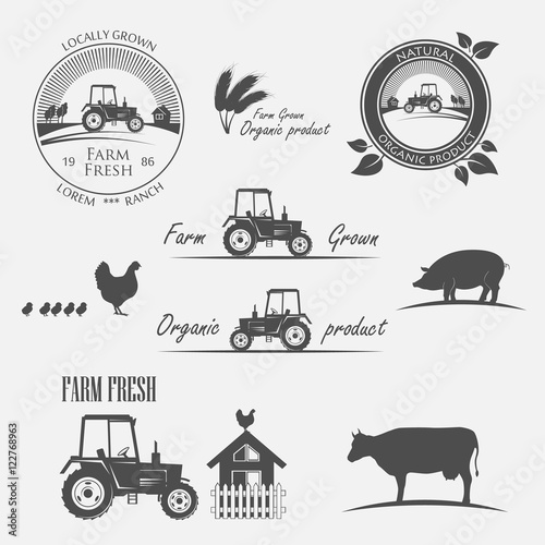 Fresh Farm Produce