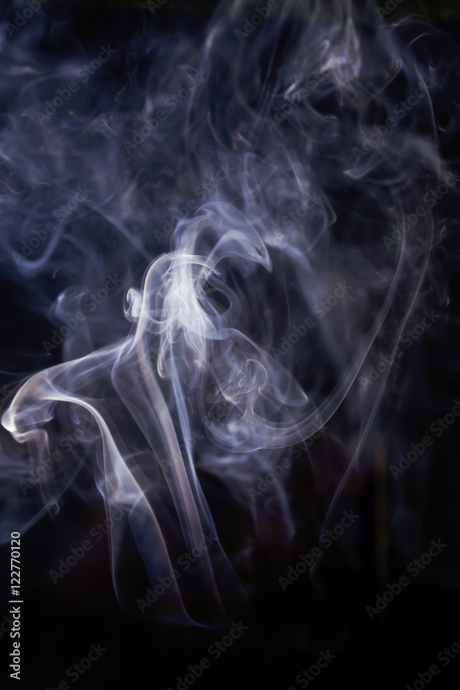 Fototapeta premium Smoke on black background.