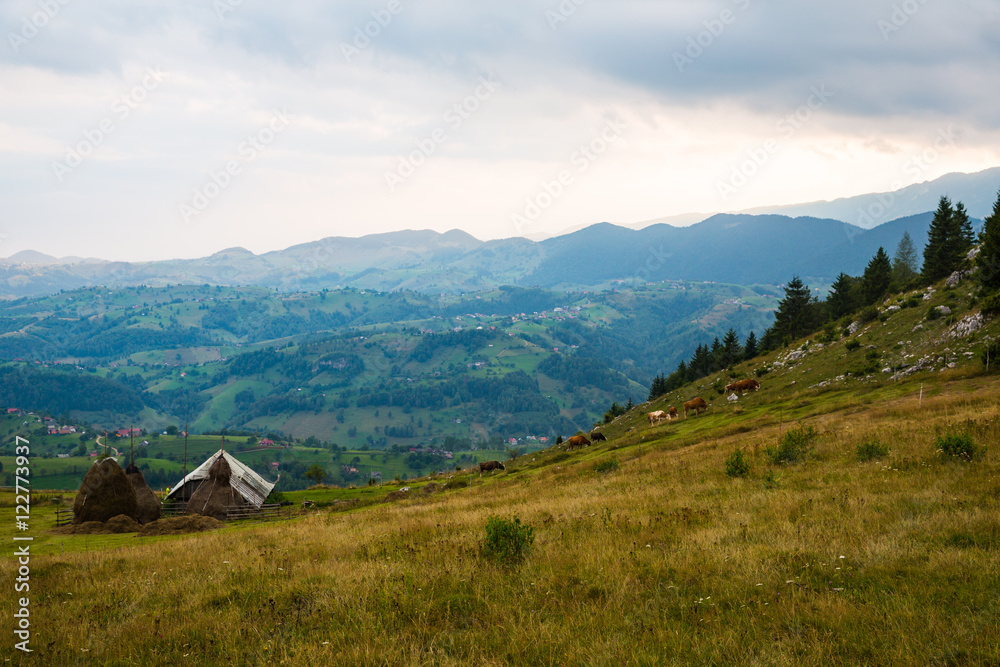 Obraz premium Panorama of Romanian Carpathians